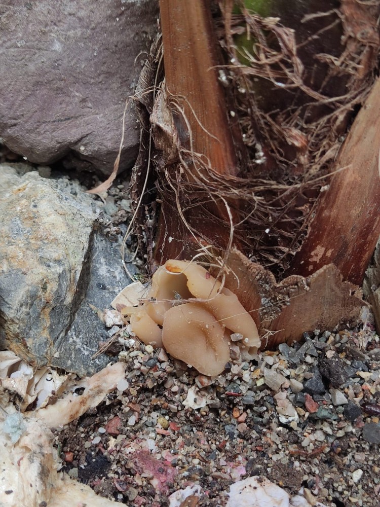 WhatsApp Image 2026-04-11 at 21.48.56 (4).jpeg