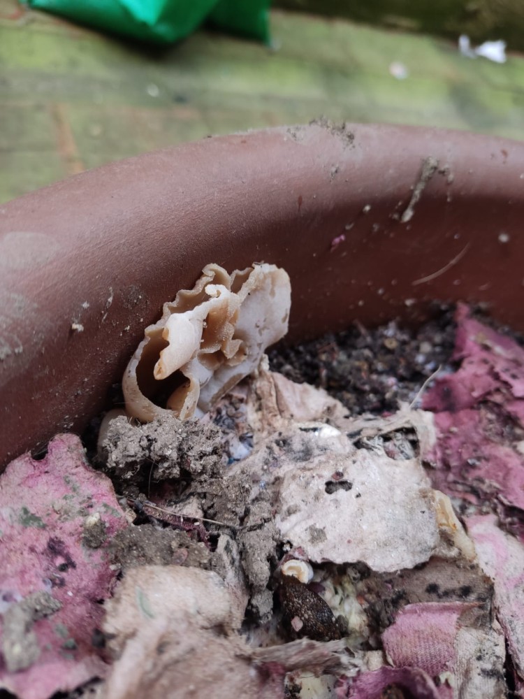 WhatsApp Image 2026-04-11 at 21.48.56 (3).jpeg