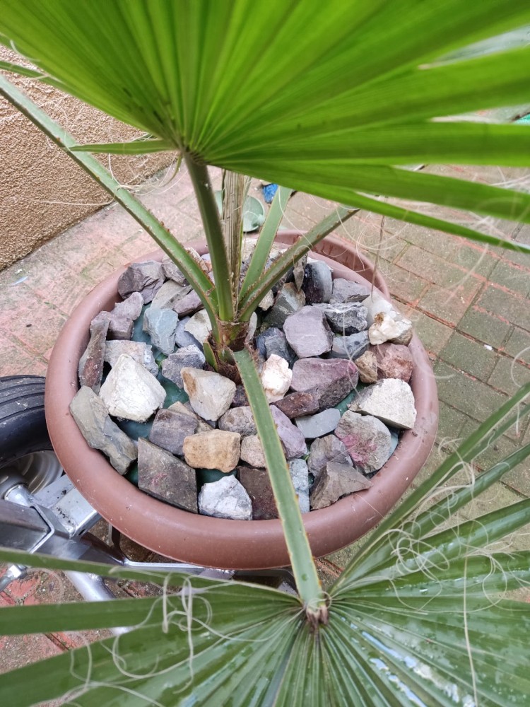 WhatsApp Image 2026-04-11 at 21.48.56.jpeg