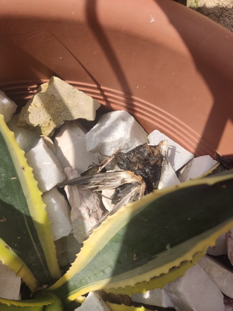 WhatsApp Image 2026-04-11 at 21.49.08 (2).jpeg