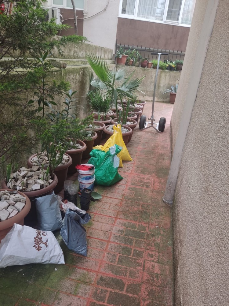 WhatsApp Image 2026-04-11 at 21.49.08 (1).jpeg