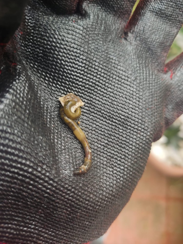 WhatsApp Image 2026-04-11 at 21.49.07 (2).jpeg