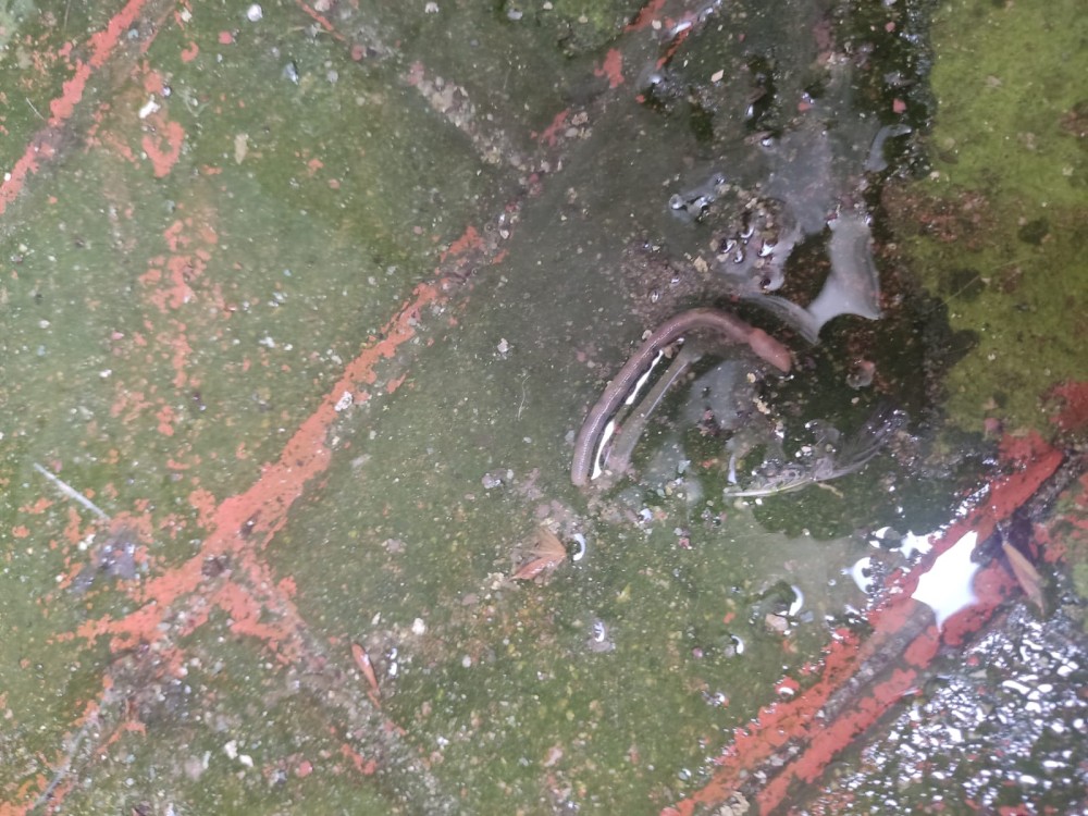 WhatsApp Image 2026-04-11 at 21.49.07.jpeg