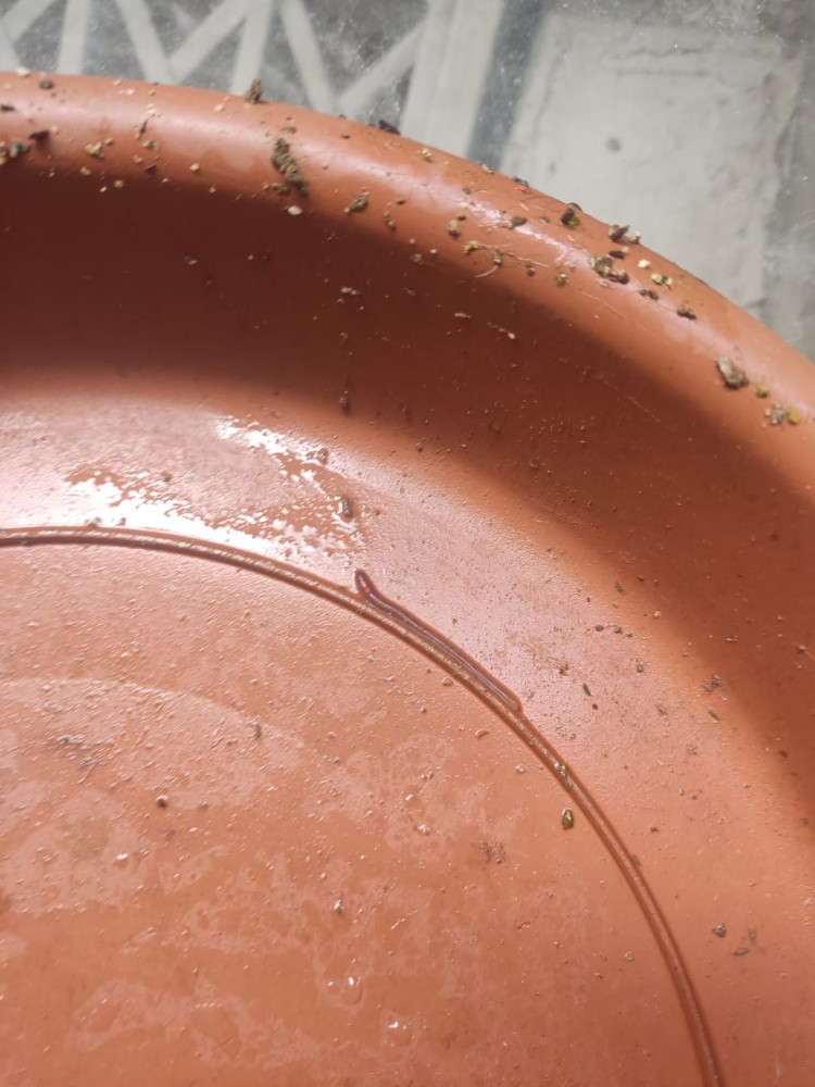 WhatsApp Image 2026-04-11 at 21.49.07 (3).jpeg