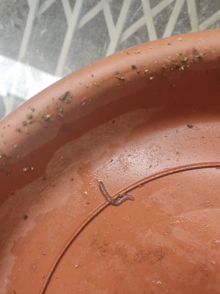 WhatsApp Image 2026-04-11 at 21.49.07 (1).jpeg