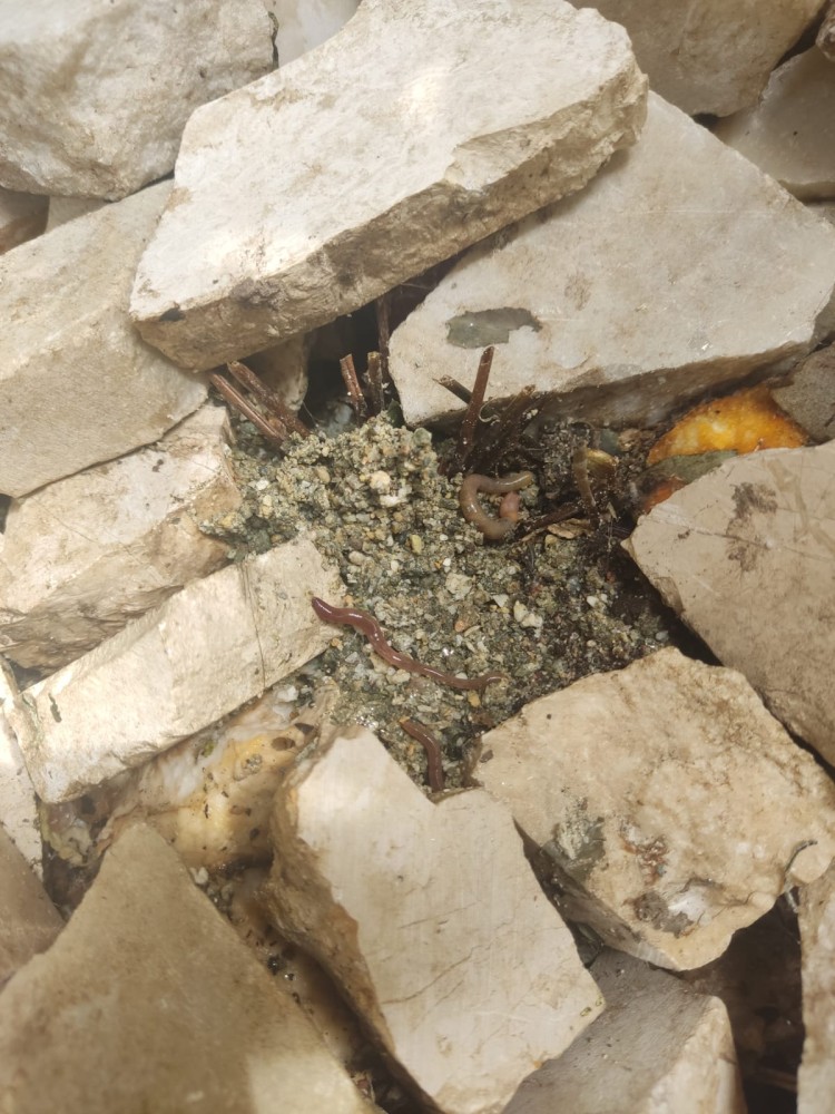 WhatsApp Image 2026-04-11 at 21.49.05 (3).jpeg