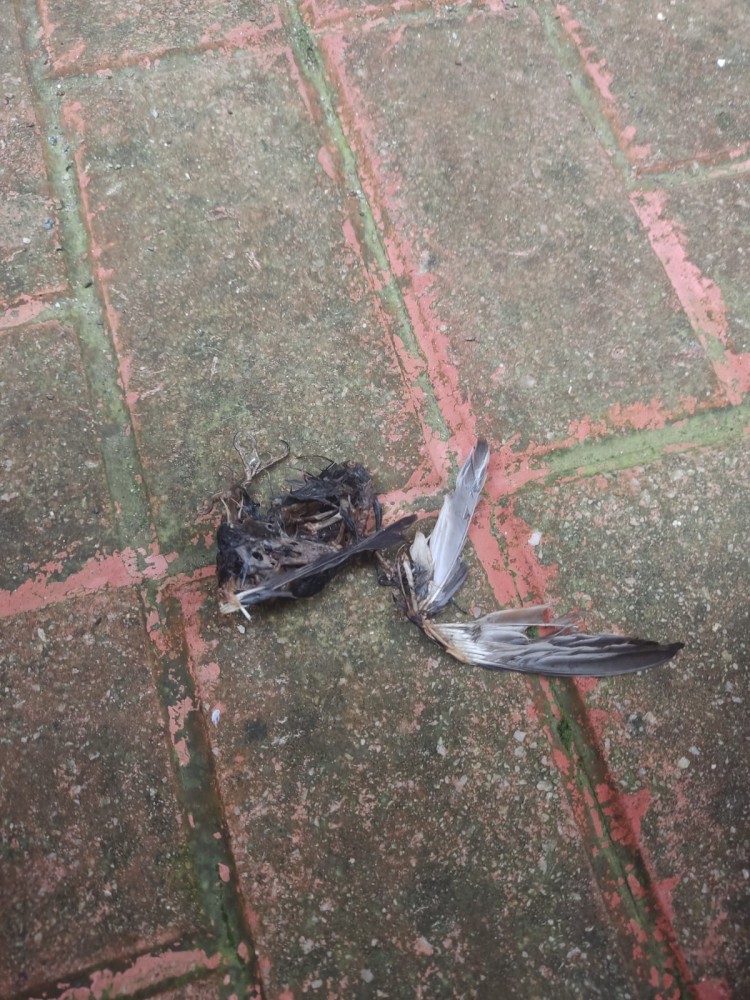 WhatsApp Image 2026-04-11 at 21.49.05 (1).jpeg