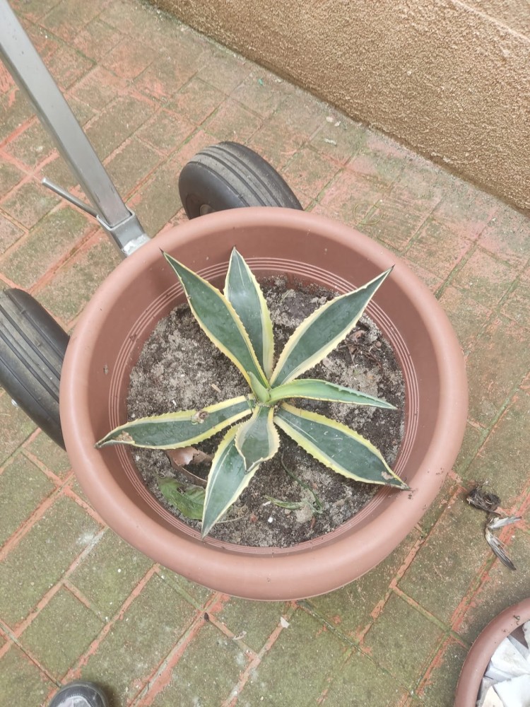 WhatsApp Image 2026-04-11 at 21.49.04 (2).jpeg