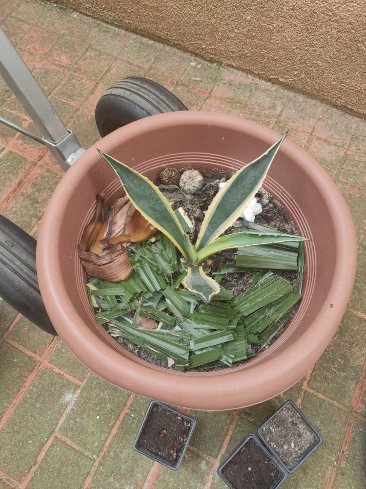 WhatsApp Image 2026-04-11 at 21.49.04.jpeg