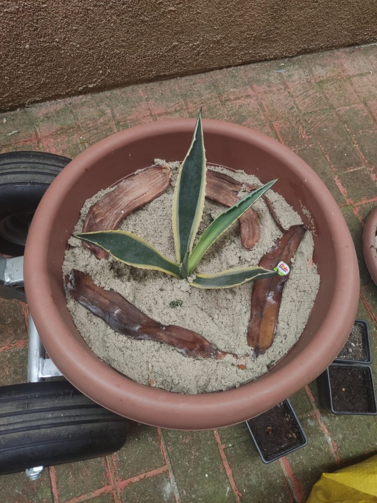 WhatsApp Image 2026-04-11 at 21.49.03 (2).jpeg