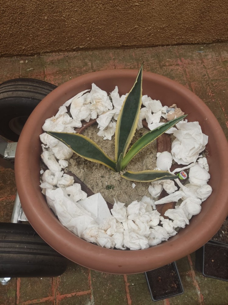 WhatsApp Image 2026-04-11 at 21.49.03 (1).jpeg