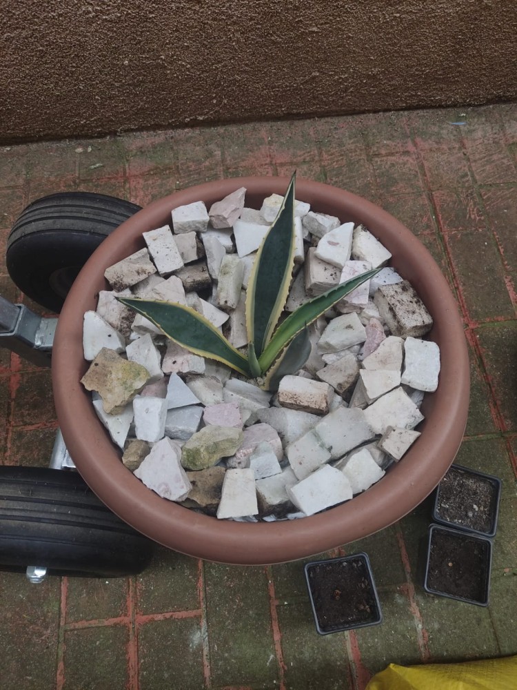 WhatsApp Image 2026-04-11 at 21.49.03.jpeg