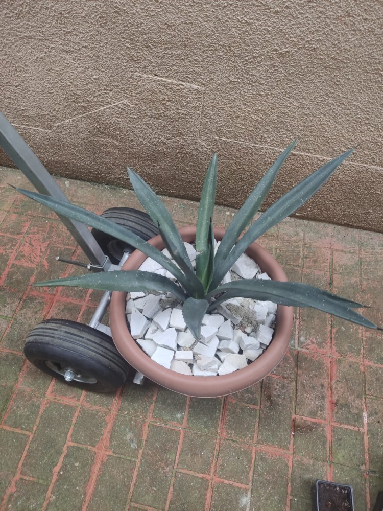 WhatsApp Image 2026-04-11 at 21.49.02 (2).jpeg