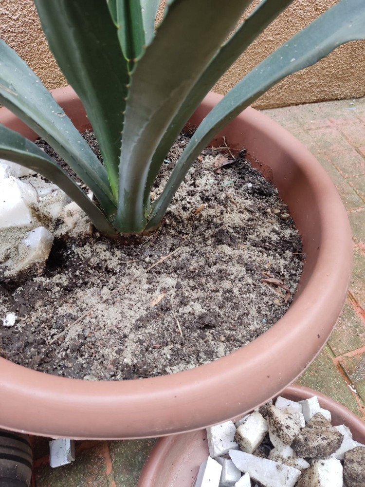 WhatsApp Image 2026-04-11 at 21.49.02 (1).jpeg