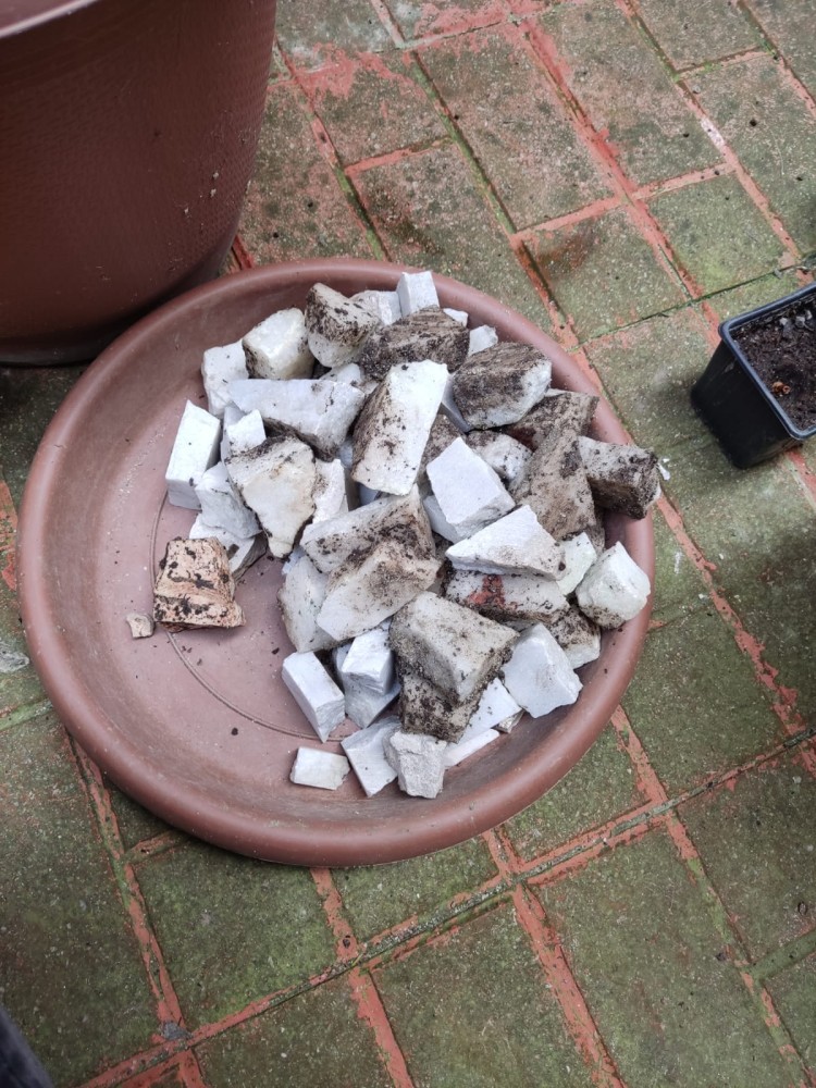 WhatsApp Image 2026-04-11 at 21.49.02.jpeg