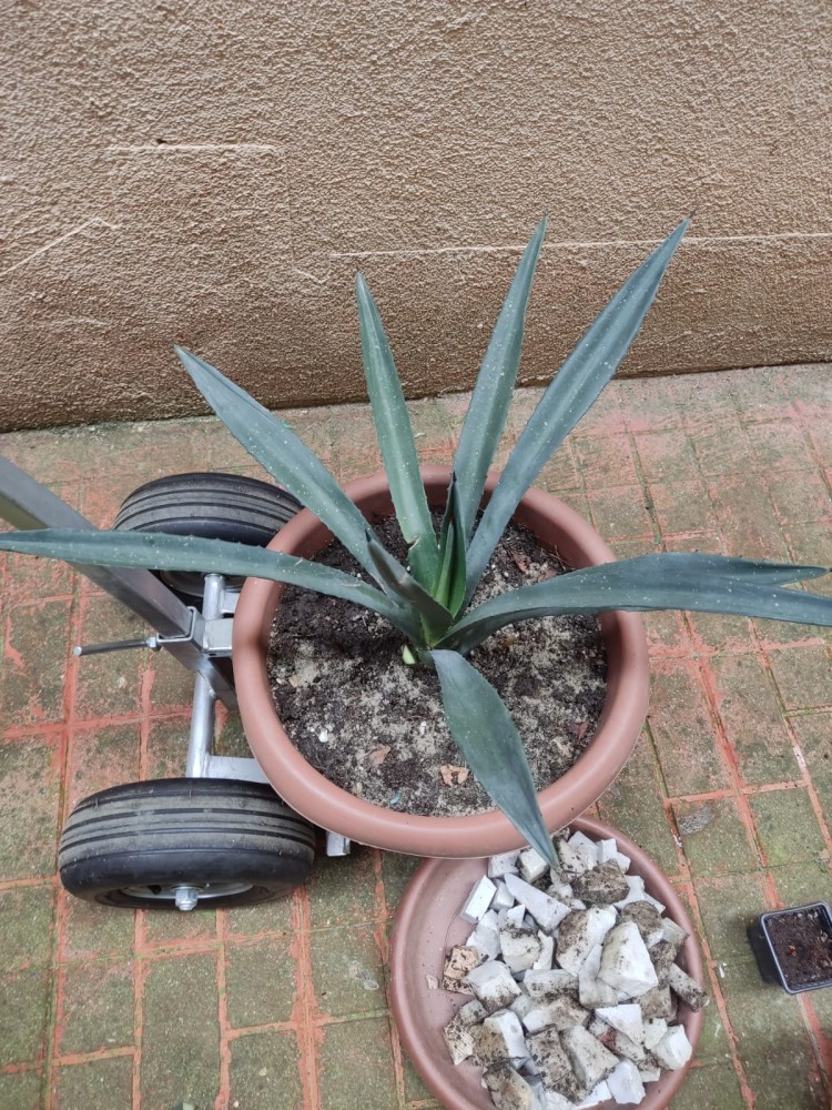 WhatsApp Image 2026-04-11 at 21.49.01 (4).jpeg