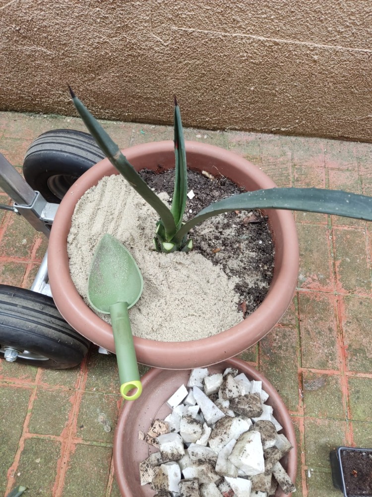 WhatsApp Image 2026-04-11 at 21.49.01 (3).jpeg