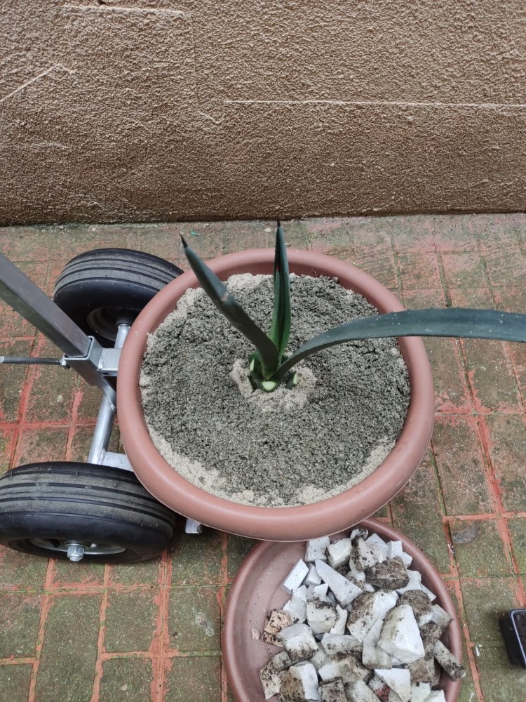 WhatsApp Image 2026-04-11 at 21.49.01 (2).jpeg