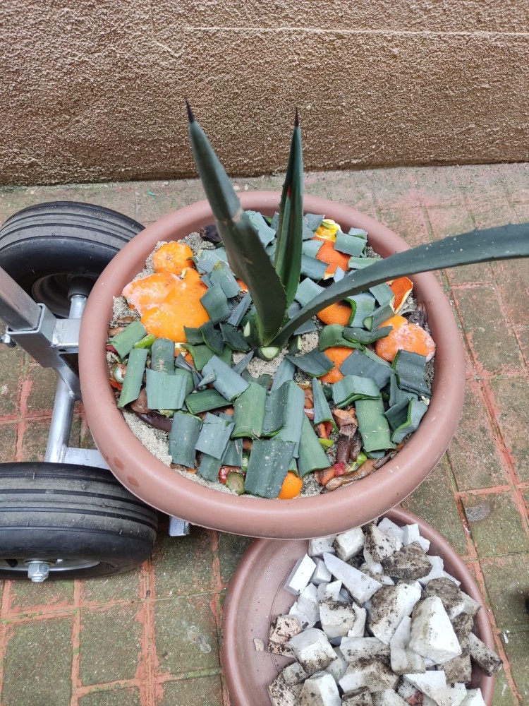 WhatsApp Image 2026-04-11 at 21.49.01 (1).jpeg