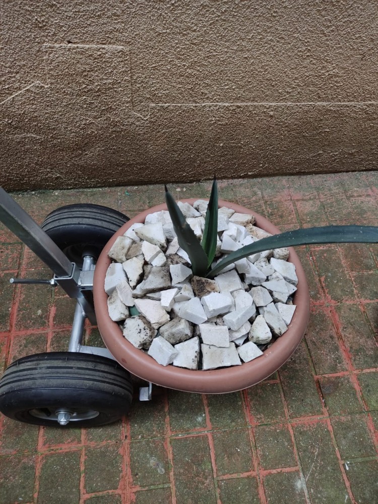 WhatsApp Image 2026-04-11 at 21.49.01.jpeg