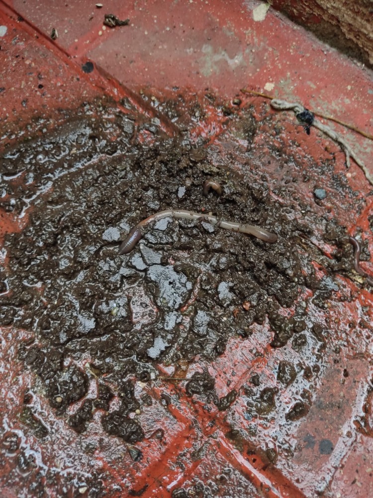 WhatsApp Image 2026-04-11 at 21.49.00 (3).jpeg