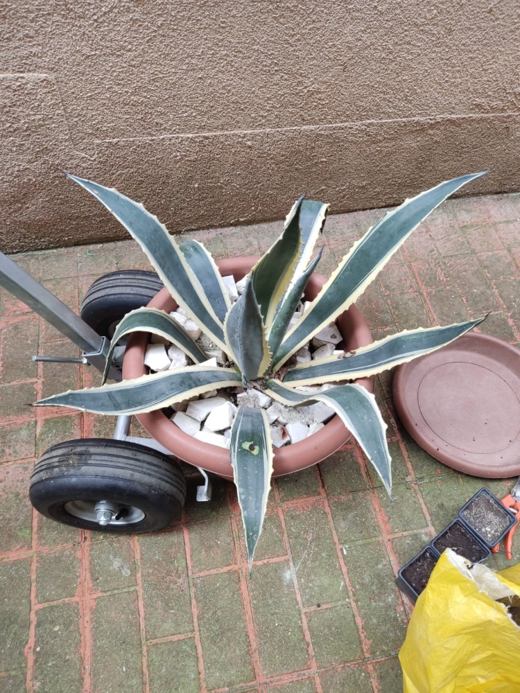 WhatsApp Image 2026-04-11 at 21.49.00 (2).jpeg