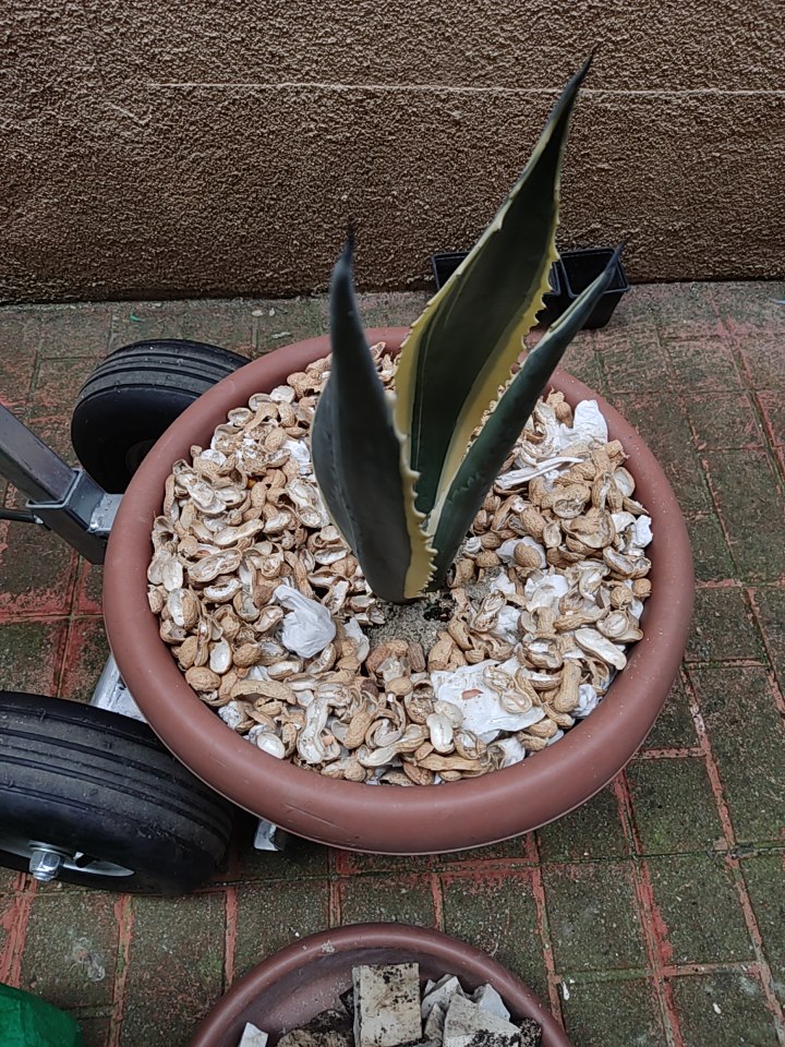 WhatsApp Image 2026-04-11 at 21.48.59 (3).jpeg