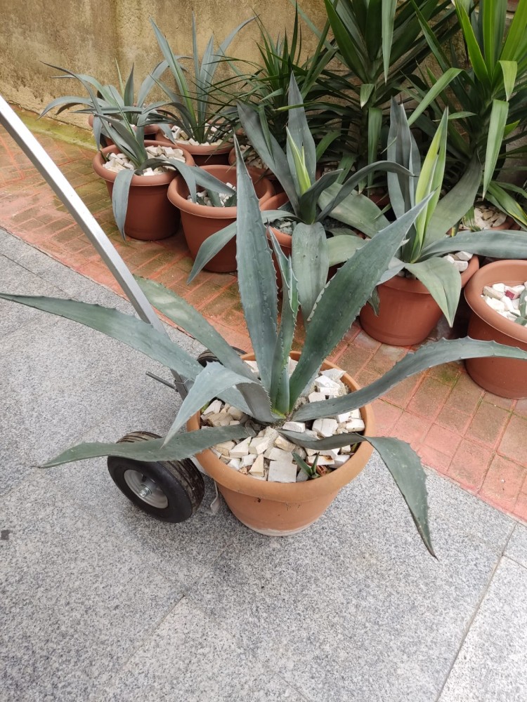 WhatsApp Image 2026-04-11 at 21.48.59 (1).jpeg