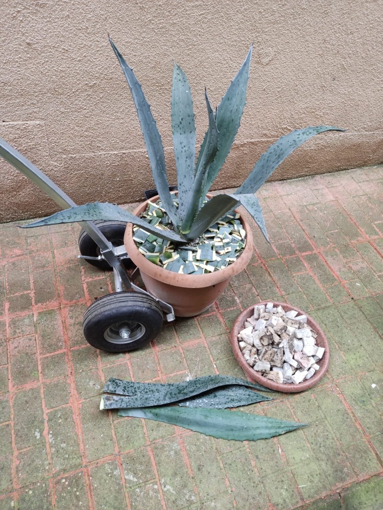 WhatsApp Image 2026-04-11 at 21.48.58 (3).jpeg