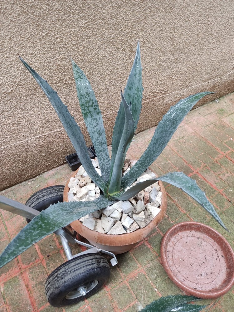 WhatsApp Image 2026-04-11 at 21.48.58 (2).jpeg