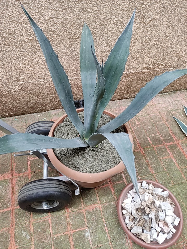 WhatsApp Image 2026-04-11 at 21.48.59.jpeg