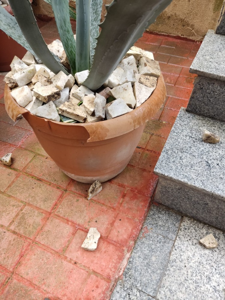 WhatsApp Image 2026-04-11 at 21.48.58.jpeg