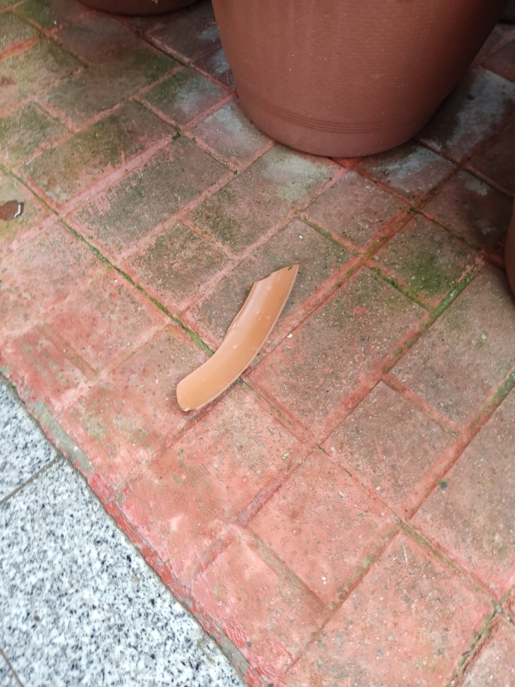 WhatsApp Image 2026-04-11 at 21.48.57 (3).jpeg