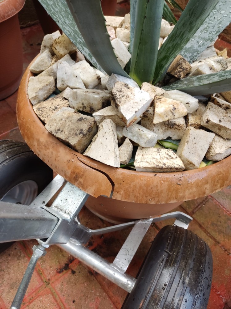 WhatsApp Image 2026-04-11 at 21.48.57 (2).jpeg