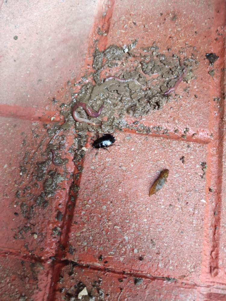 WhatsApp Image 2026-04-11 at 21.48.57 (1).jpeg