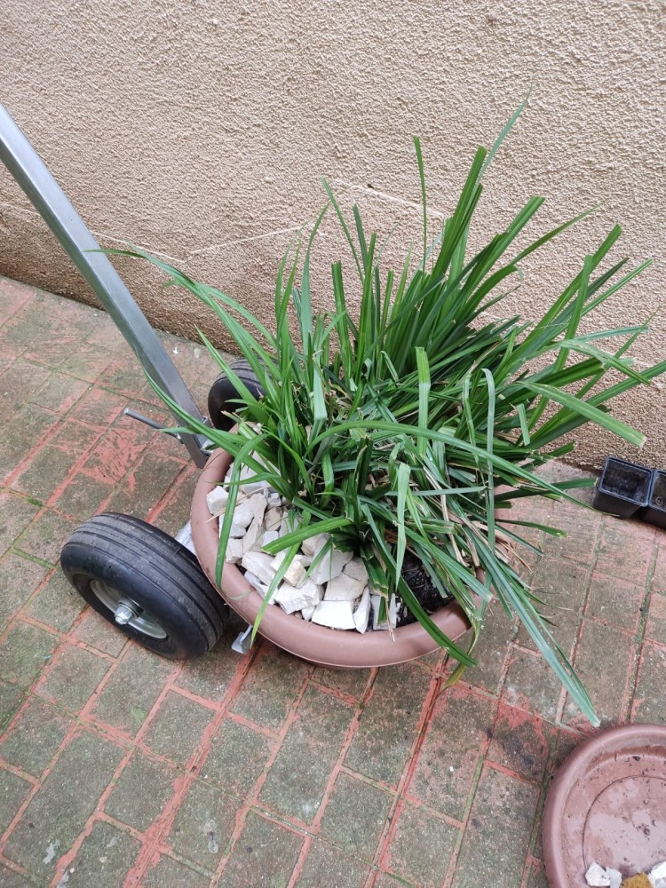 WhatsApp Image 2026-04-11 at 21.48.55 (3).jpeg