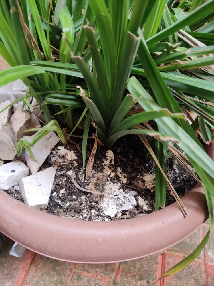 WhatsApp Image 2026-04-11 at 21.48.55 (2).jpeg