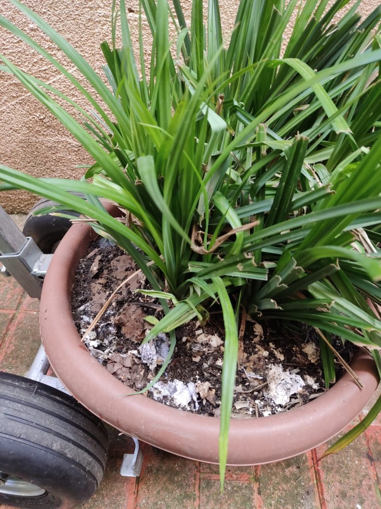 WhatsApp Image 2026-04-11 at 21.48.55 (1).jpeg