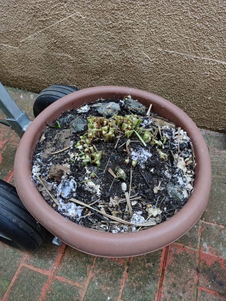 WhatsApp Image 2026-04-11 at 21.48.55.jpeg