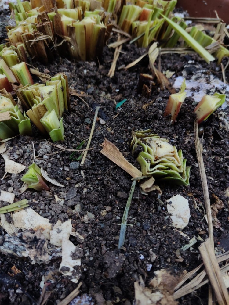 WhatsApp Image 2026-04-11 at 21.48.54 (3).jpeg