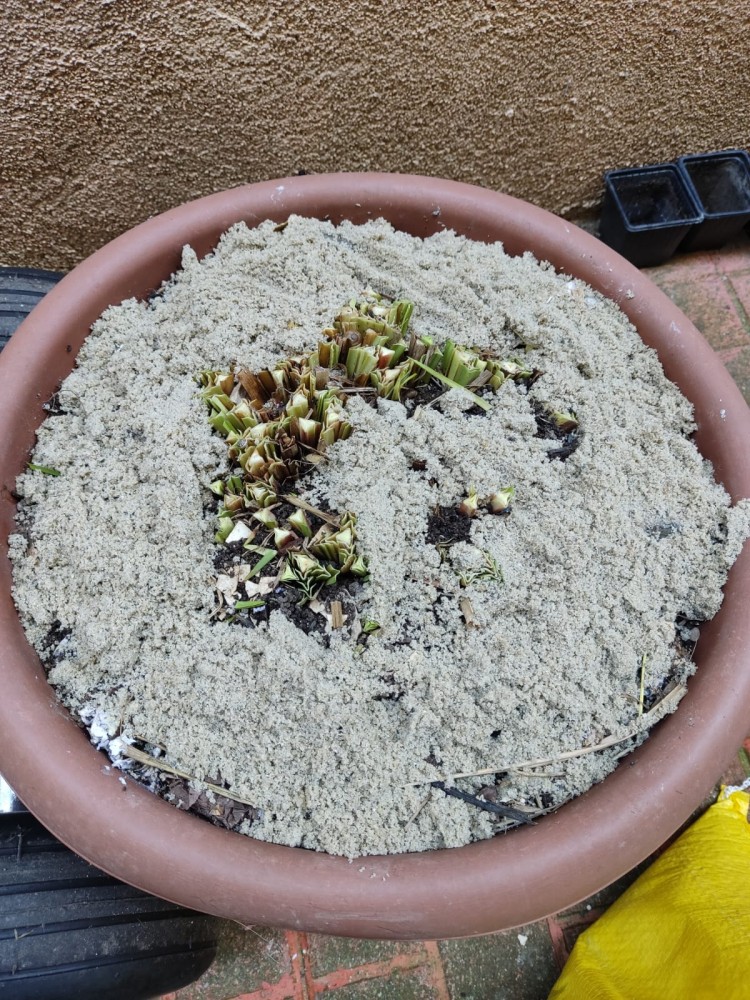 WhatsApp Image 2026-04-11 at 21.48.54 (1).jpeg