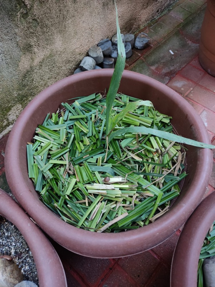 WhatsApp Image 2026-04-11 at 21.48.54.jpeg