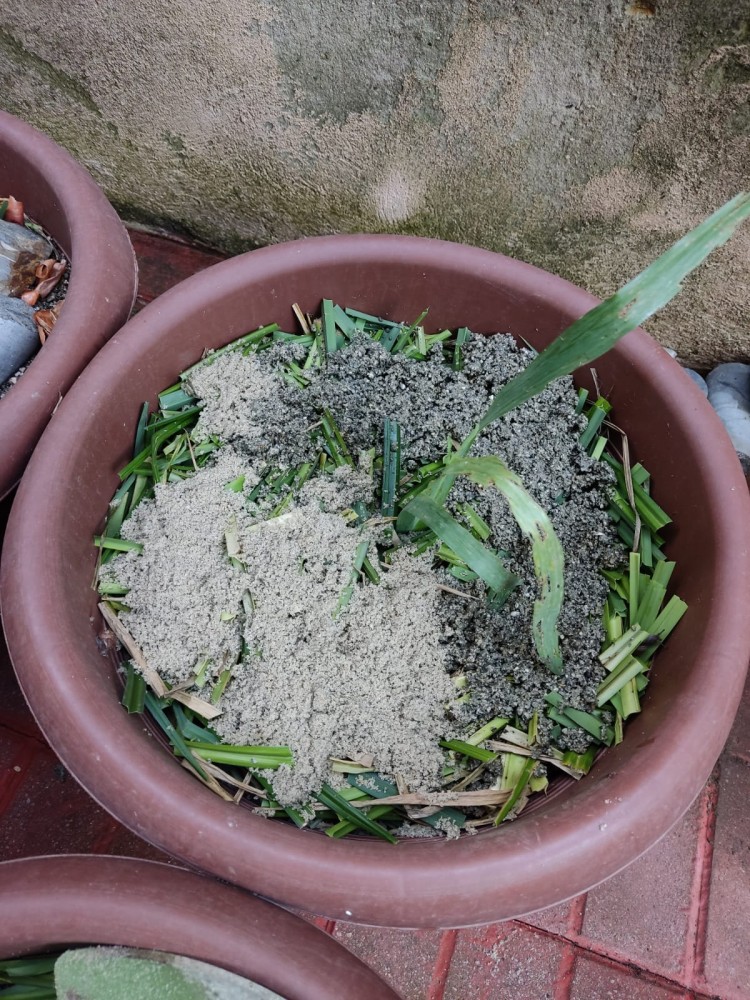 WhatsApp Image 2026-04-11 at 21.48.53 (1).jpeg