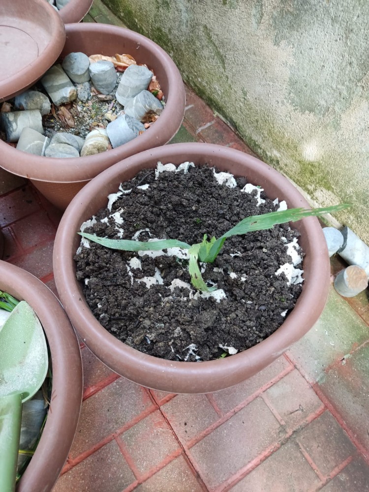 WhatsApp Image 2026-04-11 at 21.48.53.jpeg