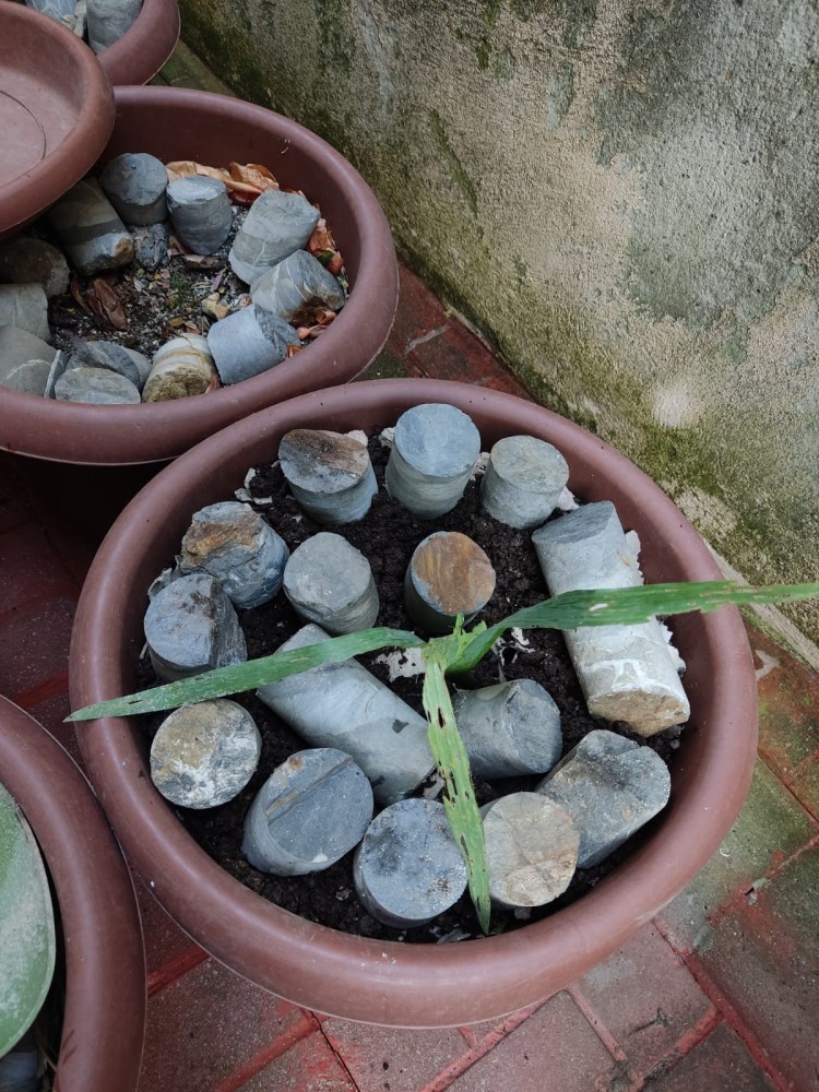 WhatsApp Image 2026-04-11 at 21.48.33 (1).jpeg