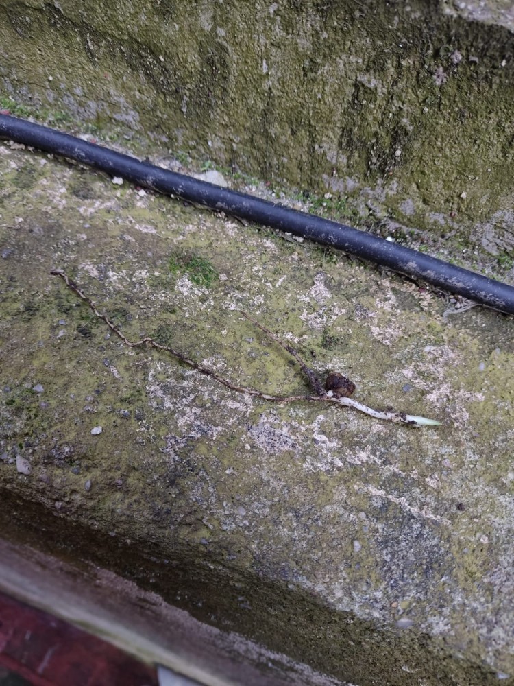 WhatsApp Image 2026-04-11 at 21.48.33 (2).jpeg