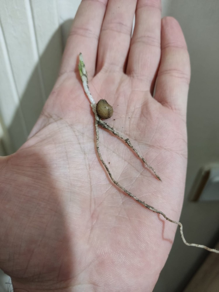 WhatsApp Image 2026-04-11 at 21.48.26 (1).jpeg