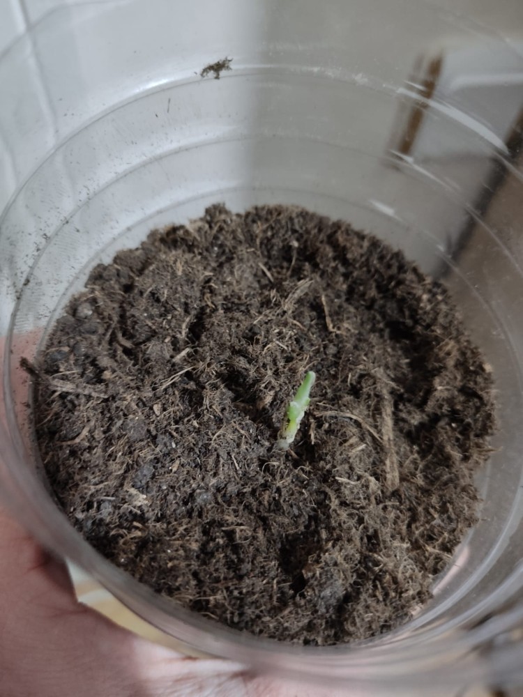 WhatsApp Image 2026-04-11 at 21.48.26.jpeg