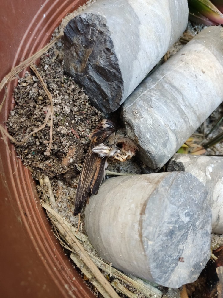 WhatsApp Image 2026-04-11 at 21.48.31.jpeg