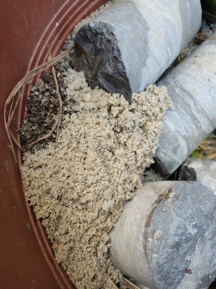 WhatsApp Image 2026-04-11 at 21.48.32.jpeg